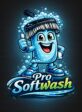 Prosoftwash